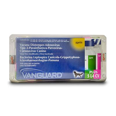 Vanguard HTLP 5/CV-L (V8)