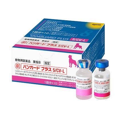 Vanguard HTLP 5/CV-L (V8)