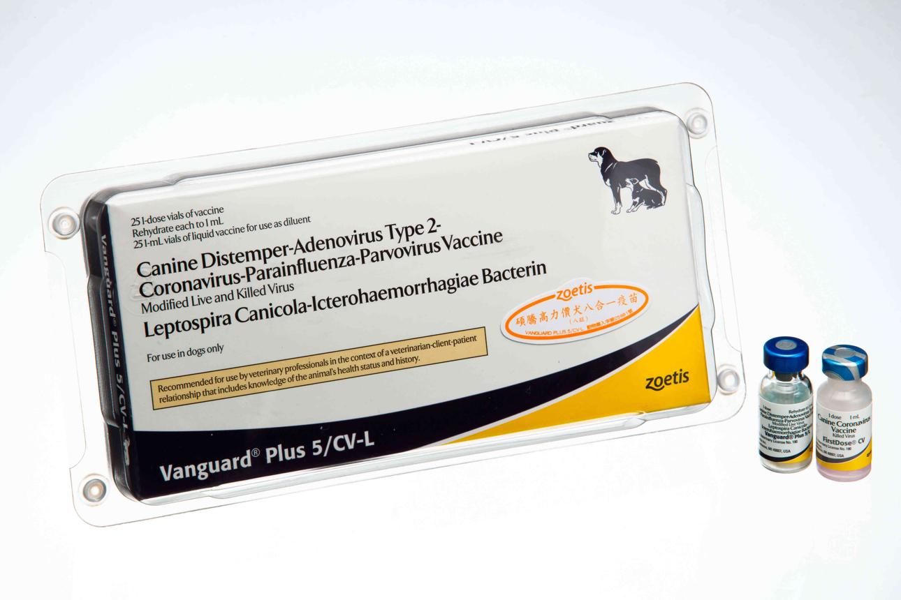 Vanguard HTLP 5/CV-L (V8)